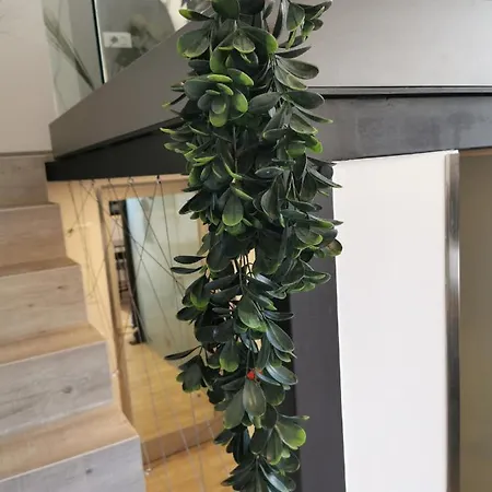 Dreamy Center Location *