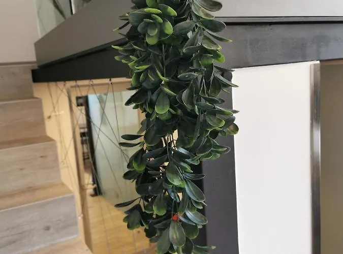 Dreamy Center Location *